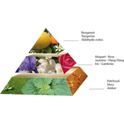 Pascal Morabito Black Eau De Parfum 100Ml For Women