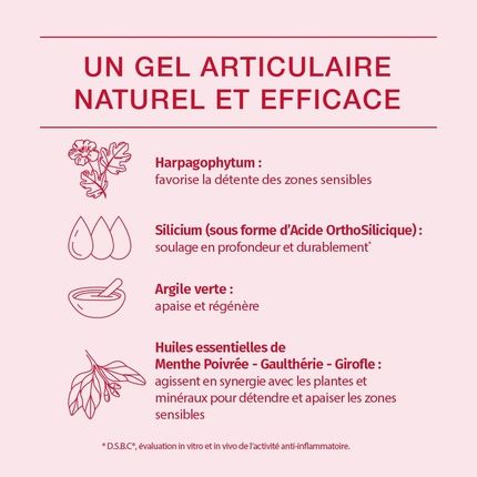 Phytoresearch Cartidol Dietary Supplement For Joint Stiffness - Image 3