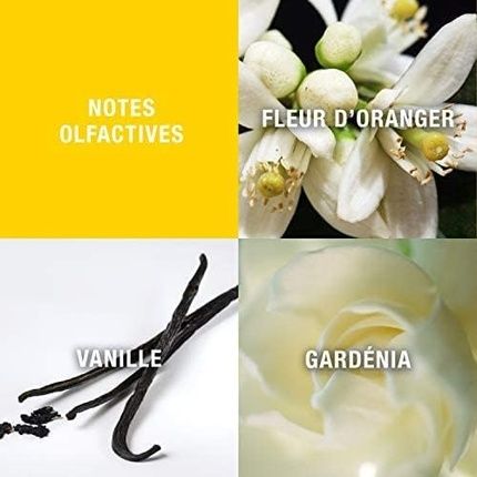 Giorgio Beverly Hills Eau De Toilette Spray 90Ml Floral Oriental Fragrance - Image 3