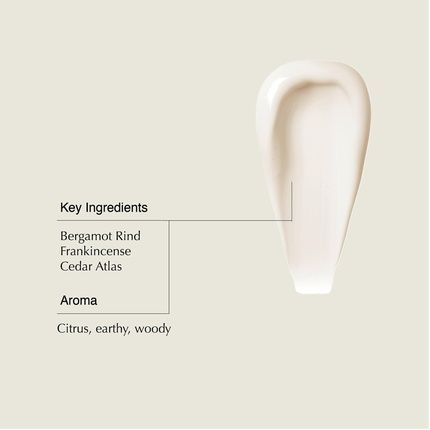 Aesop Conditioner Soften And Hydrate All Hair Types Nourishing Formula - Image 3