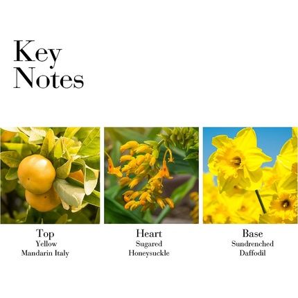 Elizabeth Arden Sunflowers Sunrise Eau De Toilette 100Ml - Image 3