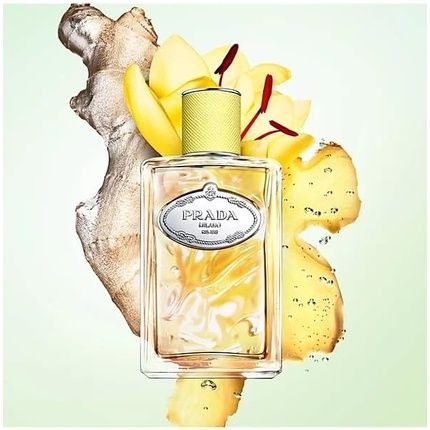 Prada Infusion De Gingembre Eau De Parfum 100Ml