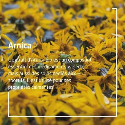 Weleda Arnica Massage Oil 200Ml - Image 3