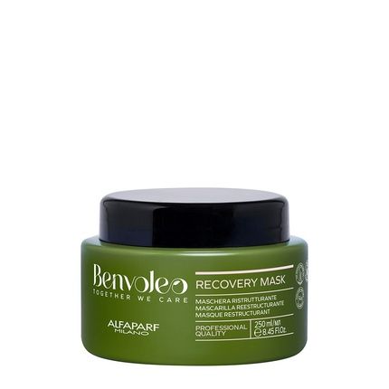 Alfaparf Milano Benvoleo Recovery Mask 250Ml Professional Hair Care