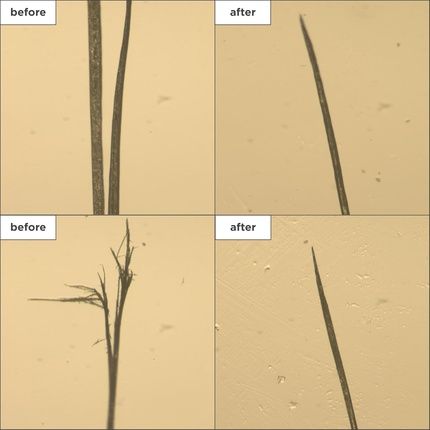 Briogeo Don'T Despair Repair Strengthening Treatment Oil - Image 3