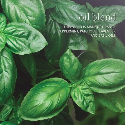 Now Foods Peace And Harmony Essential Oils 30Ml - Image 3