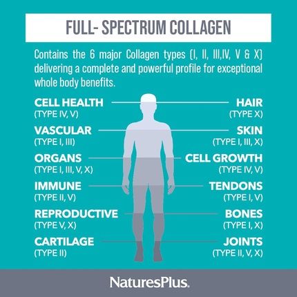 Naturesplus Collagen Peptides Capsules Sustainable Hydrolyzed Collagen Supplement 120 Capsules - Image 3
