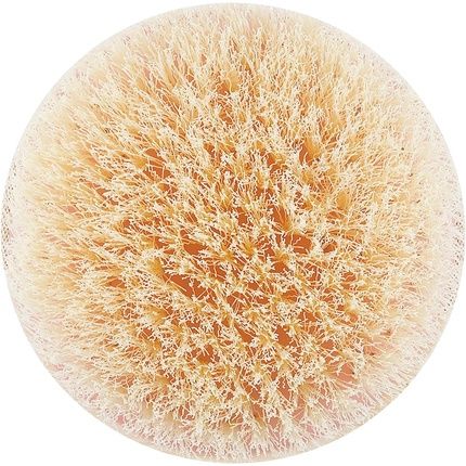 Ecotools Dry Body Brush Detoxify And Smooth