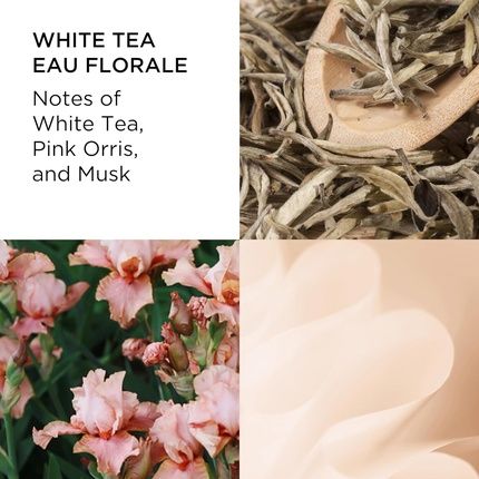 Elizabeth Arden White Tea Eau De Toilette Spray Perfume For Women Eau Florale 3.3 Fl Oz