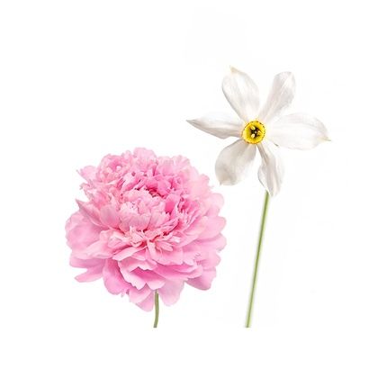 Derek Lam Hi-Fi Edp Spray - Image 3