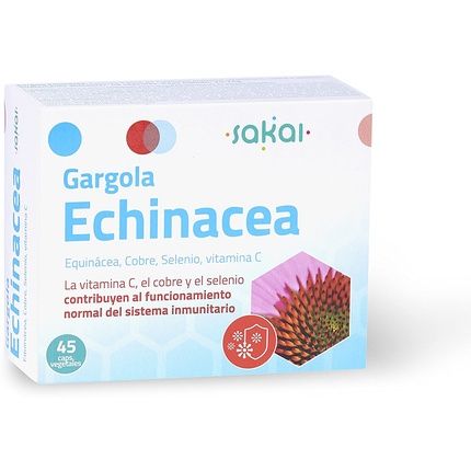 Echinacea Gargola Gap