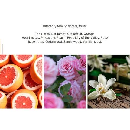 Head Spark Womens Fragrance Perfume Eau De Toilette Edt 100Ml 3.4Oz - Image 3