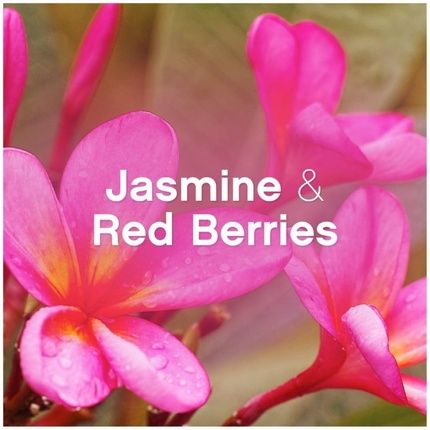 Lenor Fabric Conditioner Wellbeing Collection 26 Washes 858Ml Jasmine & Red Berries