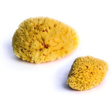 Dbb Remond Natural Sponge - Pack Of 2