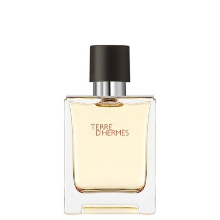 Hermes Terre D'Hermes Eau De Toilette Spray 50Ml