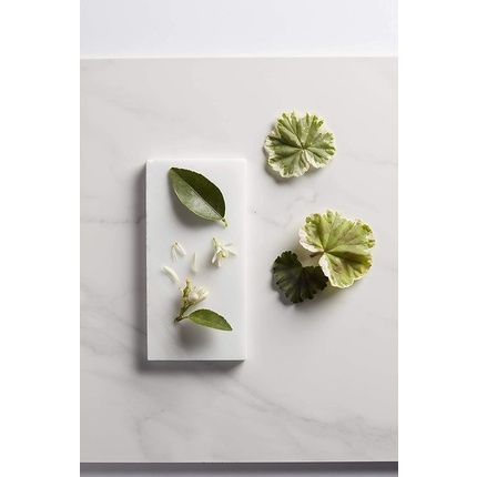 Prospa Moisture Whip Massage Cream 118Ml - Image 3