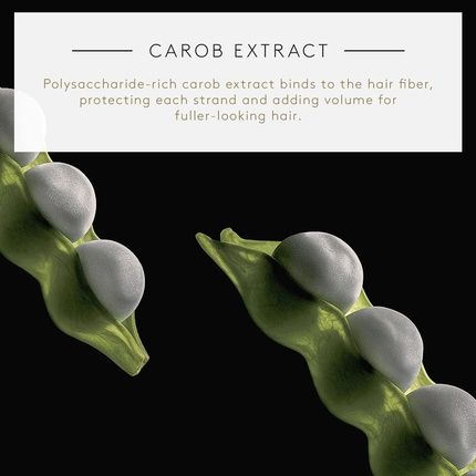 Rene Furterer Volumea Volumizing Conditioning Spray For Fine Limp Hair 4.2 Fl. Oz. - Image 3