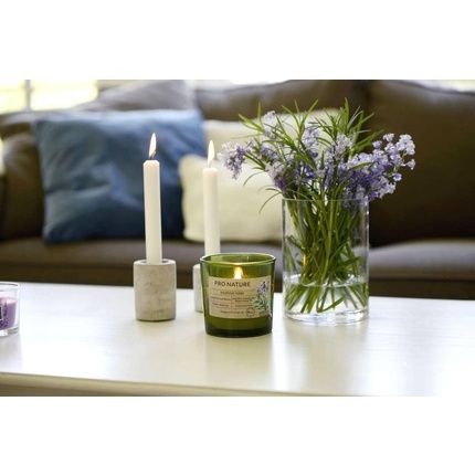 Muller Candles Pro Nature Scented Candle In Glass With Wooden Wick And Rapeseed Wax - Birch - Image 3