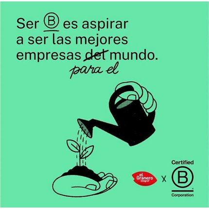 El Granero Bio Matcha 100G