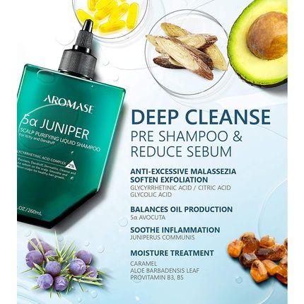 Aromase 5A Intensive Oily Hair Solution Kit Juniper Scalp Purifying Liquid Shampoo 2.8 Fl Oz + Intensive Oily Hair Balancing Essential Shampoo 14 Fl. Oz For Oily Scalp And Oil Smells