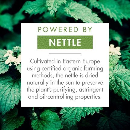 Klorane Nettle Sebo-Reducing Dry Shampoo 150Ml - Image 3