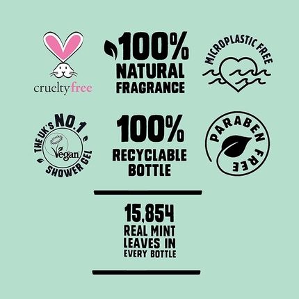 Original Source Mint & Tea Tree Vegan Shower Gel 500Ml
