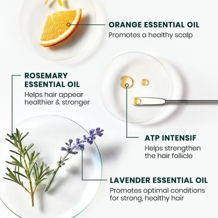 Rene Furterer Forticea Energizing Shampoo With Guarana Extract - Image 3