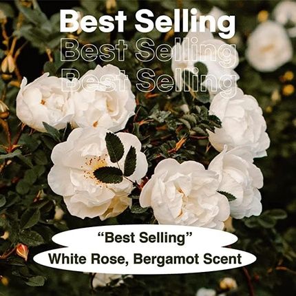 Skybottle White Rain Perfumed Hand Cream 50Ml