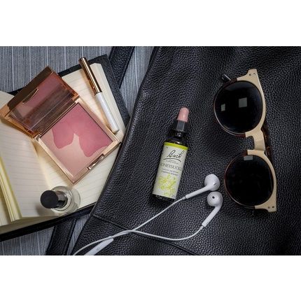 Bach Original Honeysuckle 16 For More Reality Helps Leave The Past Behind Natural Floral Elixir For Emotional Well-Being Dropper 20Ml - Image 3