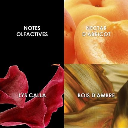 Britney Spears Prerogative 236Ml Fine Fragrance Mist