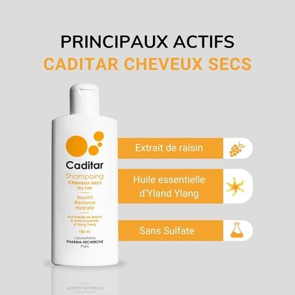 Caditar Dry Hair Gentle Moisturizing Shampoo 150Ml Paraben-Free - Image 3