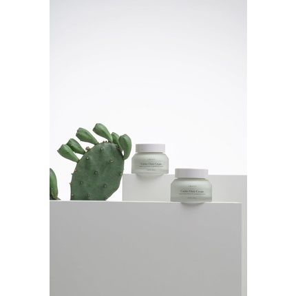 Cactus Oasis Cream Organic Certified Vegan Natural Skin Barrier