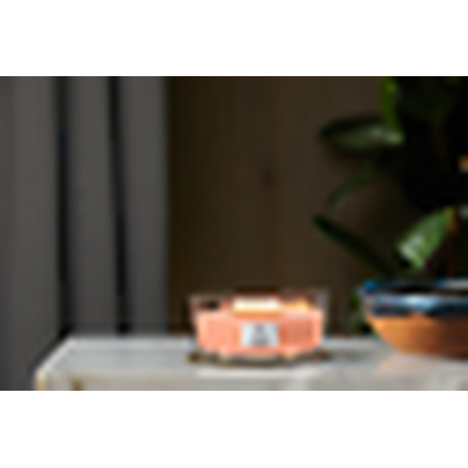 Woodwick Manuka Honey Scented Decor Gift Candle - Image 3