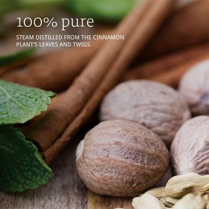 Now Essential Oils, Cinnamon Cassia Oil, Warming Aromatherapy Scent, Steam - Image 3