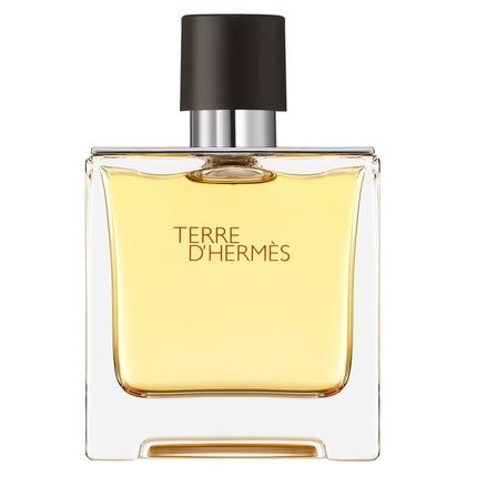 Hermes Terre D'Hermes Perfume Spray 75Ml