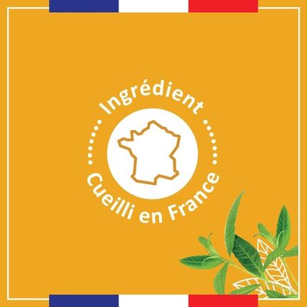 Le Petit Marseillais Extra Gentle Shower Gel Organic Verbena Lemon 250Ml - Image 3