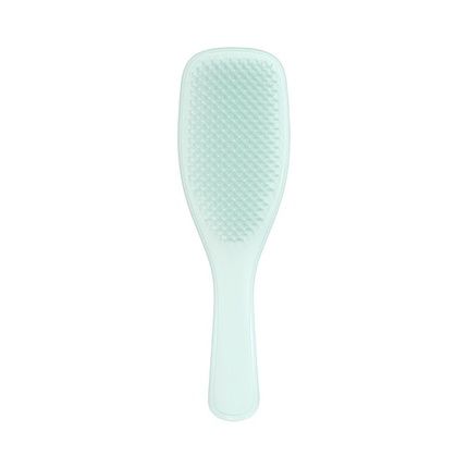 Tangle Teezer Fine And Fragile Ultimate Detangler Hairbrush For Coloured Fine Hair