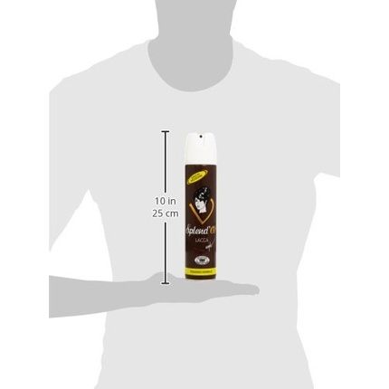 Splend'Or Hair Spray Normal Hold 300Ml - Image 3