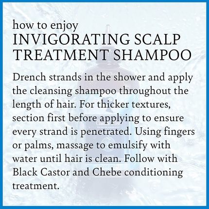 Camille Rose Black Castor Oil & Chebe Cleanse Invigorating Scalp Treatment Shampoo 12 Fl Oz