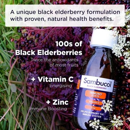 Sambucol Natural Black Elderberry Immuno Forte With Vitamin C And Zinc 120Ml - Image 3