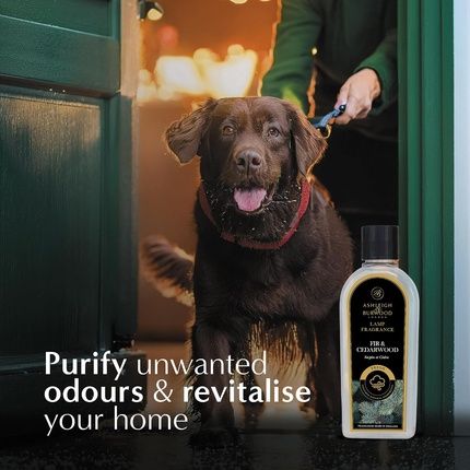 Ashleigh & Burwood Fir & Cedarwood Lamp Fragrance 500Ml Luxury Home Scent