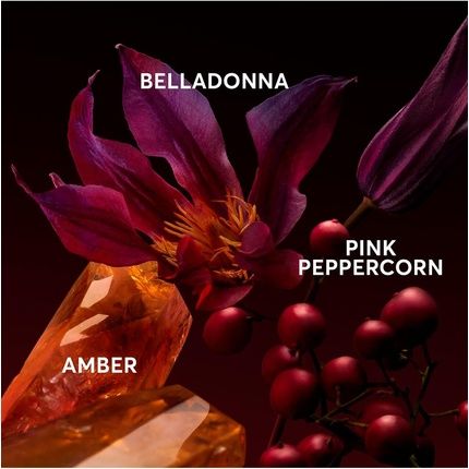 Hugo Boss The Scent Elixir For Her 50Ml - Image 3