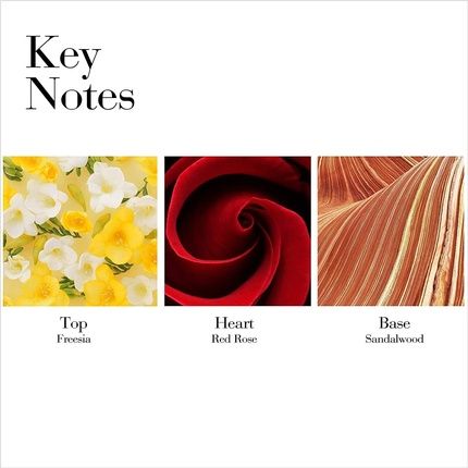 Elizabeth Arden Red Door Perfumed Body Lotion 200Ml