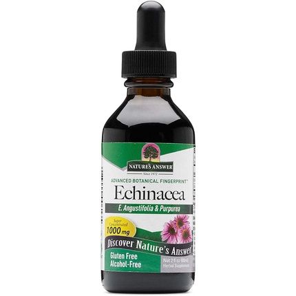 Echinacea Alcohol Free 500Mg 2 Fluid Ounces