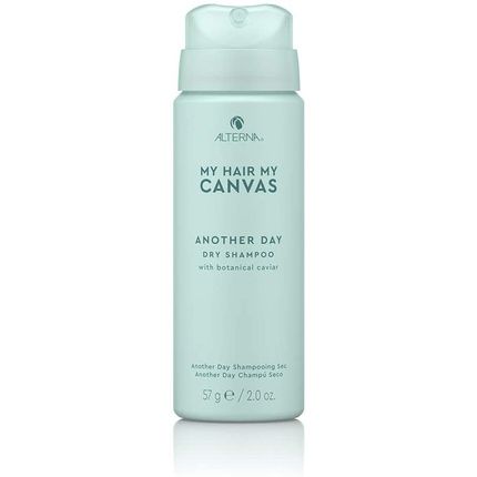 البديل شعري. قماش بلدي. شامبو جاف ليوم آخر 60 مل