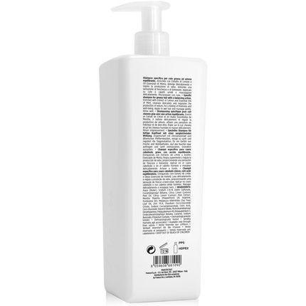 Framesi New Morphosis Hair Treatment Color Protect Conditioner 1000Ml