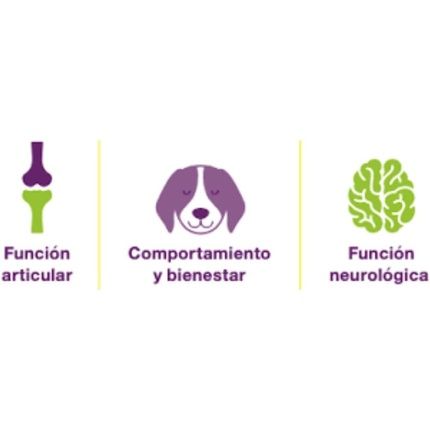 Stangest Cronicare Necklace