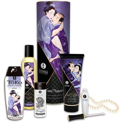 Shunga Carnal Pleasures Kit