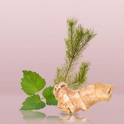 Calvin Klein Euphoria Men Deodorant Stick For Men 75 Ml - Image 3