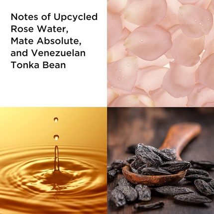 Elizabeth Arden White Tea Eau De Parfum Gift Set - Image 3